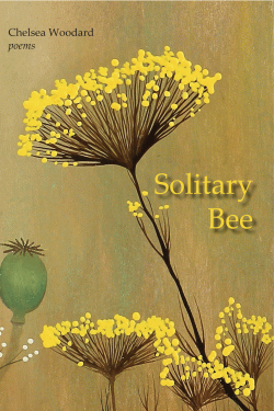 SOLITARY_BEE_cover.gif